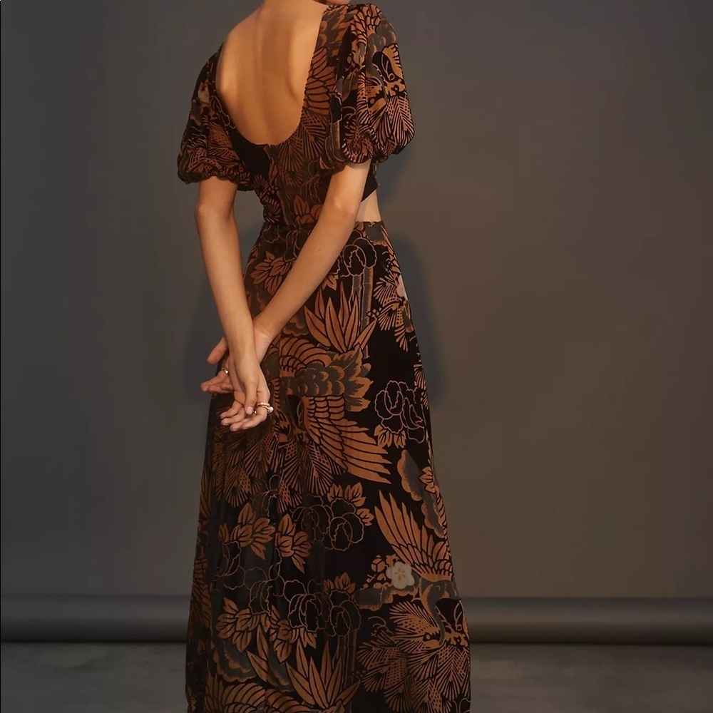 Anthropologie Let‎ Me Be Burnout Velvet Cutout Maxi Dress NWT - Picture 2 of 12